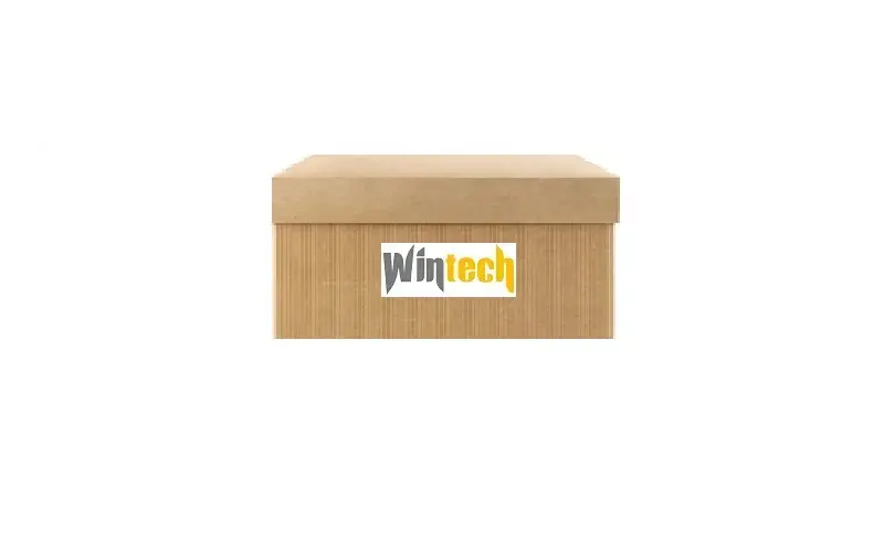 WINTECH 0500344 Yakıt Borusu 5802067839
