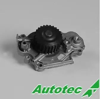 AUTOTEC 09600821 Devirdaim 19200P13003