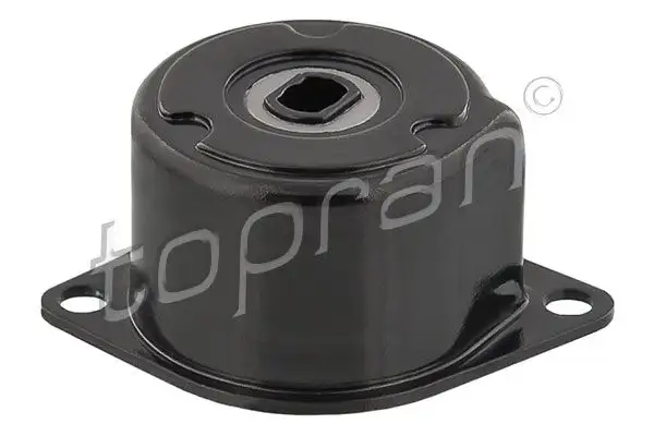 TOPRAN 109800001 Alternatör Gergi Rulmanı 044903315C