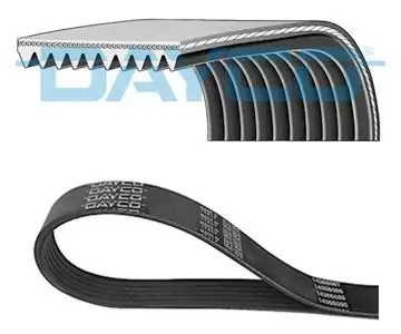 DAYCO 10PK1620HD Kayış