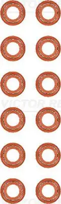 VICTOR REINZ 12-40218-01 Supap Lastiği 40101874