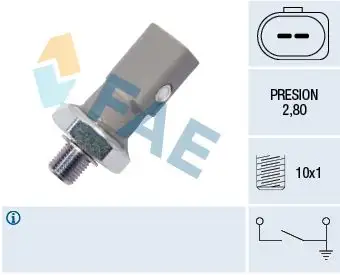FAE 12855 Yağ Müşiri 06E919081C