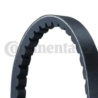 CONTITECH 13X1800 Kayış