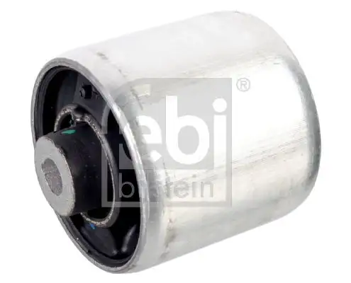 FEBI 175819 Salıncak Burcu