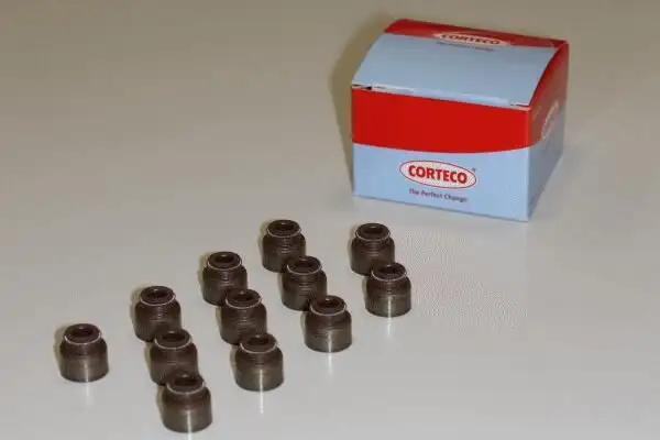 CORTECO 19036745 Supap Lastiği 13211AA100