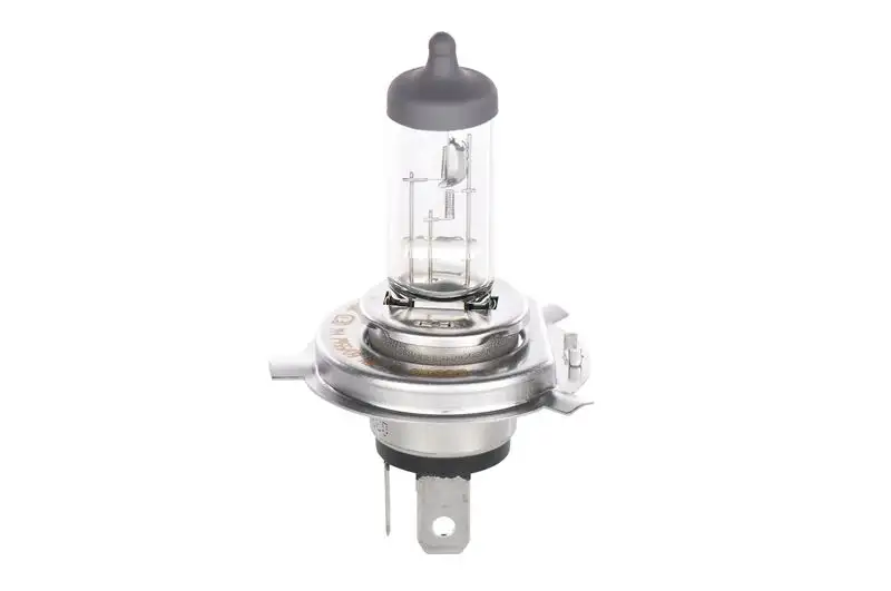 BOSCH 1987302049 Ampül 0050185