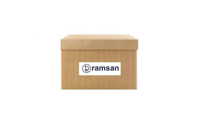 RAMSAN 211892 Direksiyon Pompası 95215399