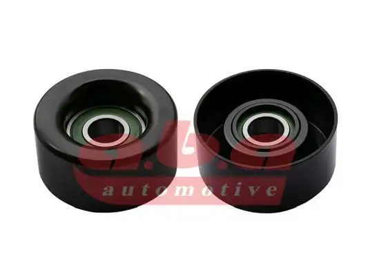 ABA 25172028 Alternatör Gergi Rulmanı 119555X00D