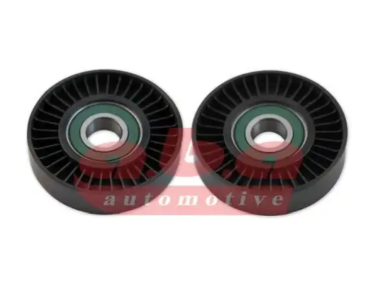ABA 25200495 Alternatör Gergi Rulmanı 7700870495