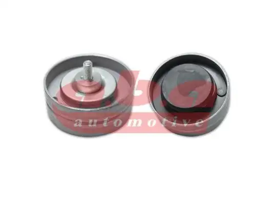 ABA 25506310 Alternatör Gergi Rulmanı 077109244F