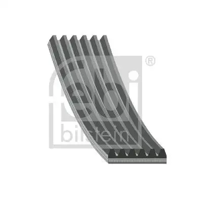 FEBI 28903 Kayış