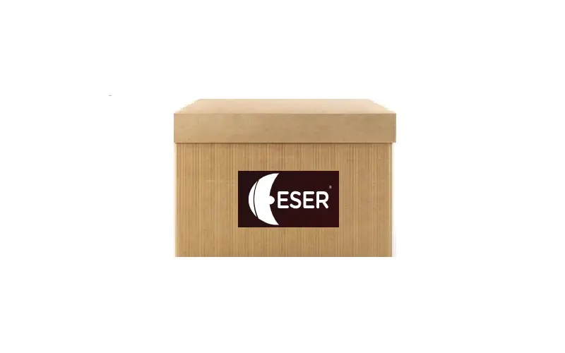ESER 28905811 Sinyal Lambası (Sağ) 7702202873