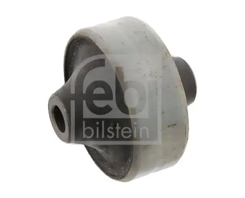 FEBI 29280 Salıncak Burcu