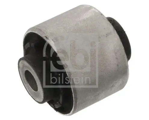 FEBI 29944 Salıncak Burcu