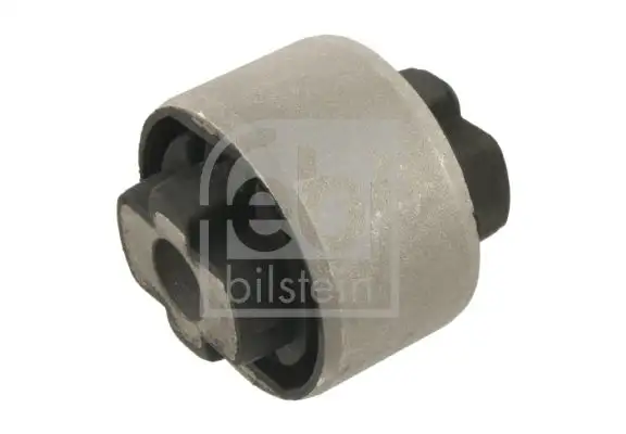 FEBI 31091 Salıncak Burcu