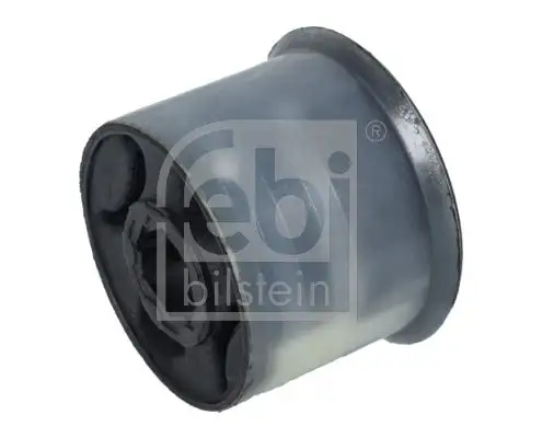 FEBI 31253 Salıncak Burcu