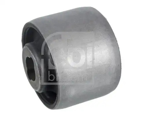 FEBI 31267 Salıncak Burcu