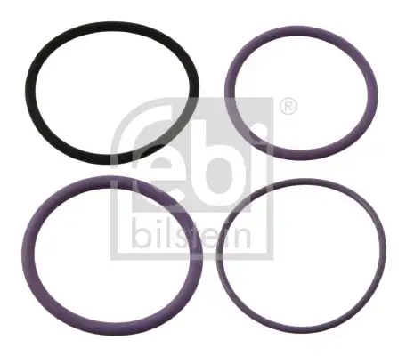 FEBI 35200 Enjektör Tamir Takımı