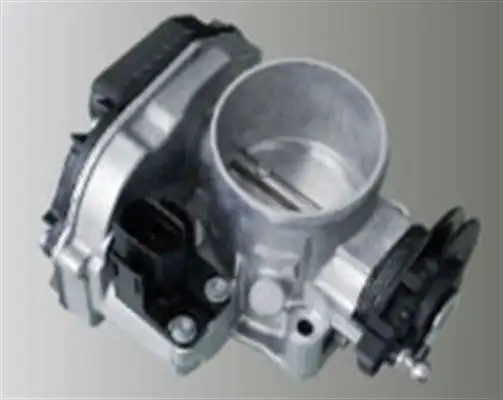 MAGNETI MARELLI 359000602860 Gaz Kelebeği 058133063Q