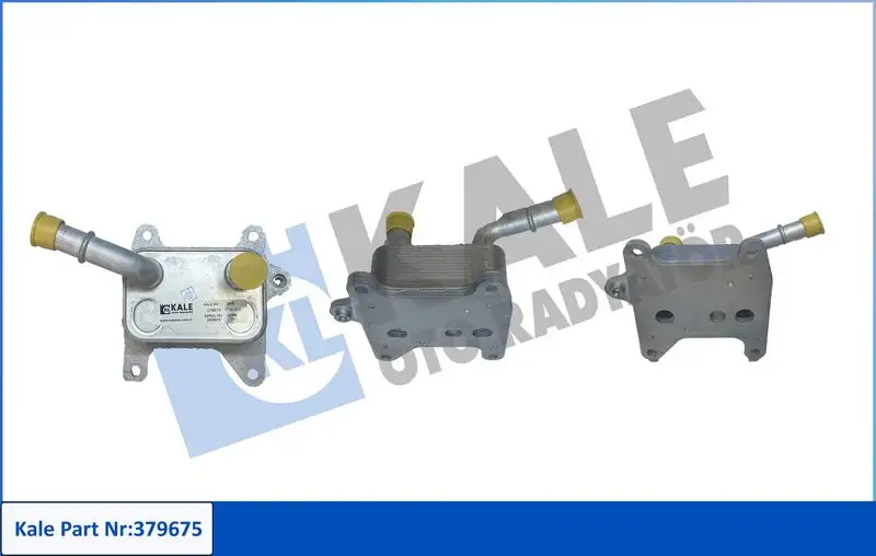 KALE 379675 Motor Yağ Soğutucu 213053566R