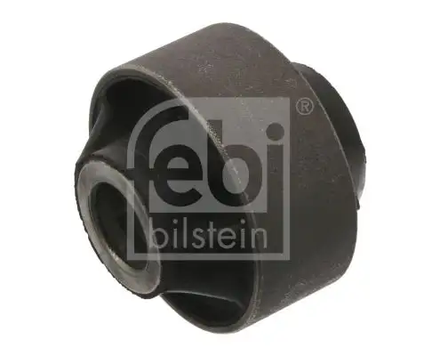FEBI 38004 Salıncak Burcu
