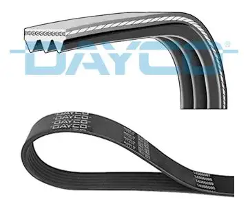 DAYCO 3PK856EE (3PK856) Kayış