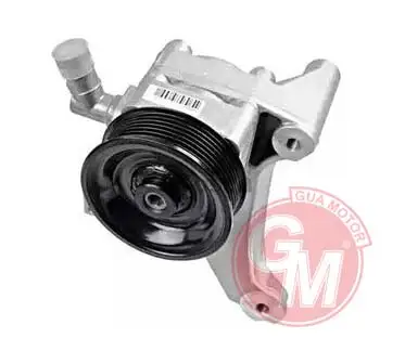 GUA 40633 Direksiyon Pompası 5801525984