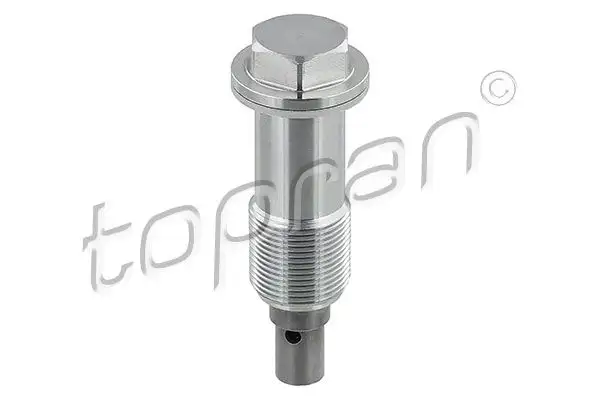 TOPRAN 408978001 Eksantrik Zincir Gergisi