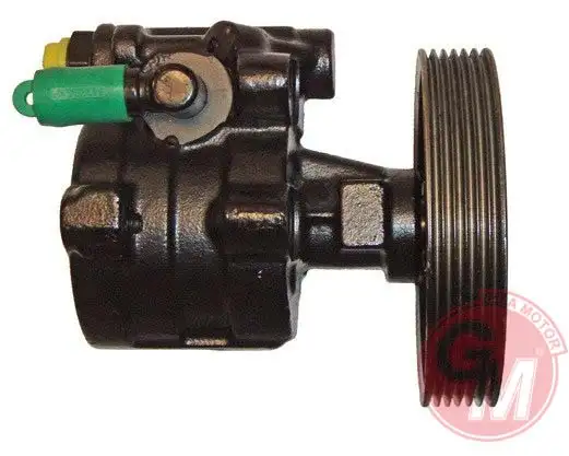 GUA 41084 Direksiyon Pompası 7700875707