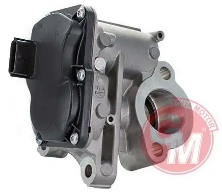 GUA 41134 EGR Valfi A6261400160