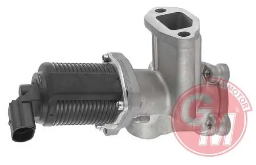 GUA 41140 EGR Valfi 55206931