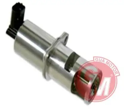 GUA 41506 EGR Valfi 8200542997