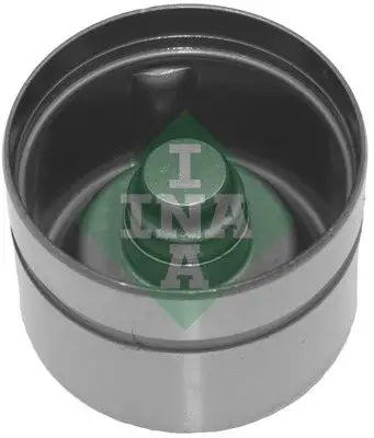 INA 420017010 Supap Fincanı