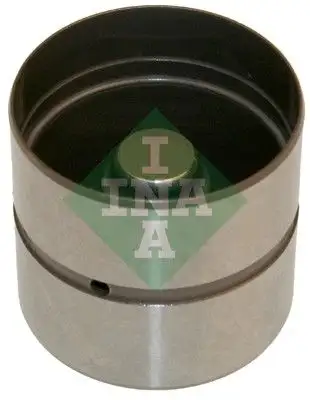 INA 420022010 Supap Fincanı 094293
