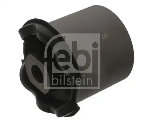 FEBI 45689 Salıncak Burcu