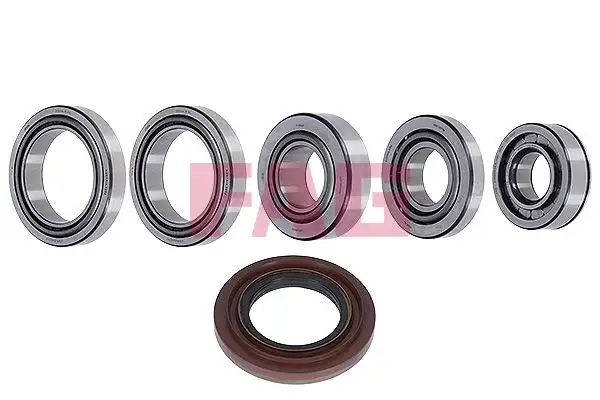 FAG 463012410 Diferansiyel Rulmanı