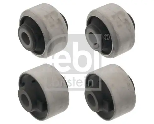 FEBI 48618 Salıncak Burcu