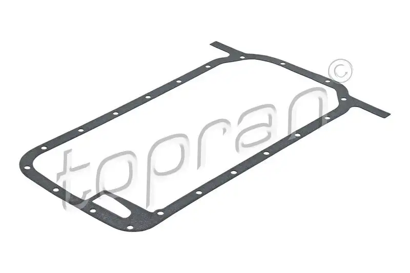 TOPRAN 500779001 Karter Contası 11131727574