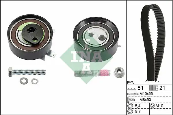 INA 530006210 Triger Seti