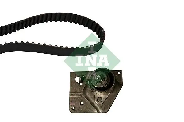 INA 530044210 Triger Seti