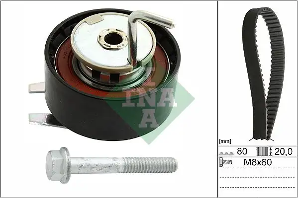 INA 530069210 Triger Seti