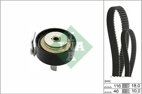 INA 530070110 Triger Seti