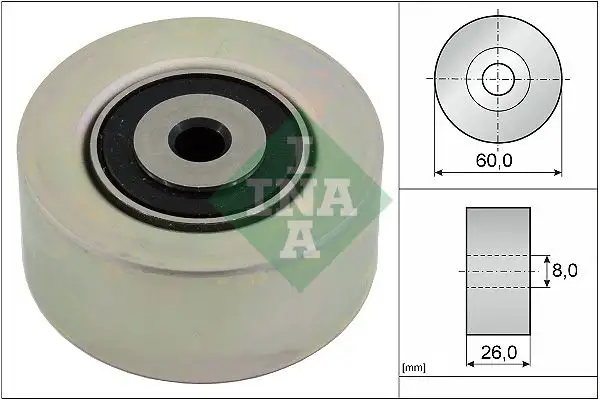INA 531055010 Alternatör Gergi Rulmanı