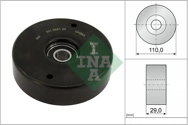 INA 531055120 Alternatör Gergi Rulmanı