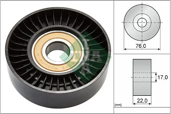 INA 531067730 Alternatör Gergi Rulmanı