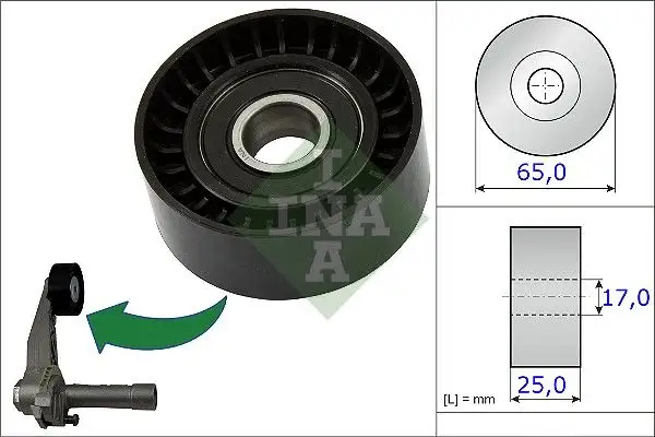 INA 531086610 Alternatör Gergi Rulmanı