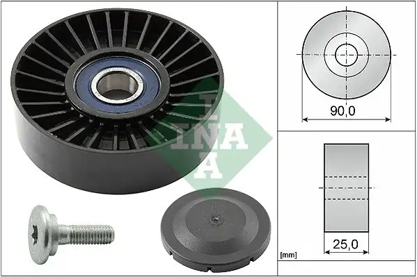 INA 532013810 Alternatör Gergi Rulmanı