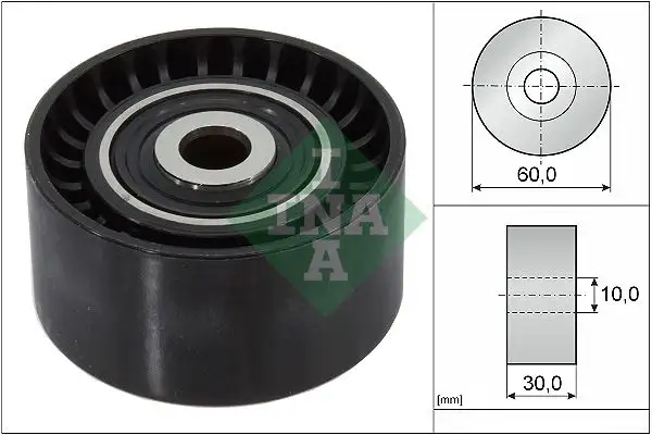 INA 532032110 Alternatör Gergi Rulmanı