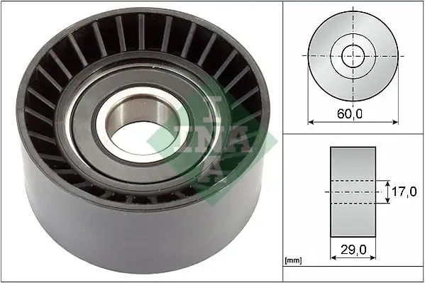 INA 532036420 Alternatör Gergi Rulmanı