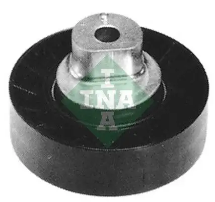 INA 532041810 Alternatör Gergi Rulmanı